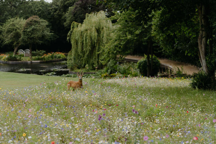 Jodie Hurd Photography - England-014 (1) (1)